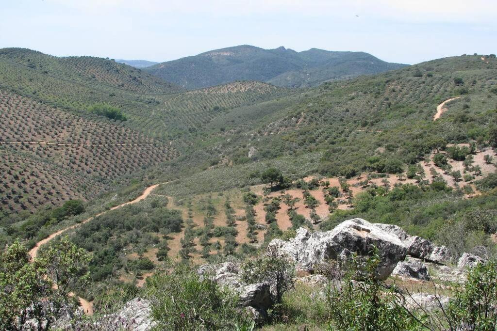 Вилла Cortijo "Era Grande 2" Кордова Экстерьер фото