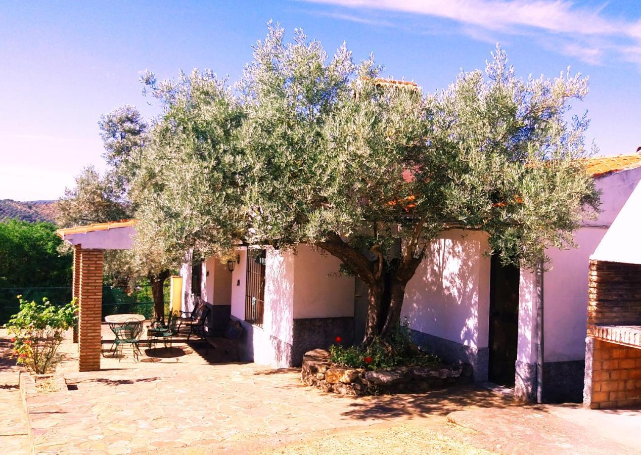 Вилла Cortijo "Era Grande 2" Кордова Экстерьер фото