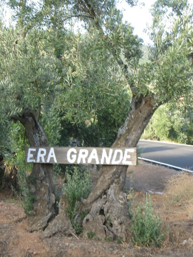 Вилла Cortijo "Era Grande 2" Кордова Экстерьер фото
