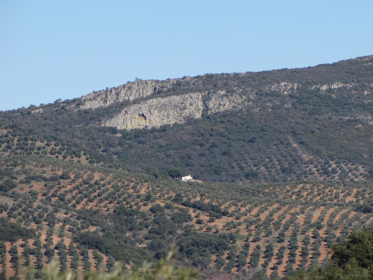 Вилла Cortijo "Era Grande 2" Кордова Экстерьер фото