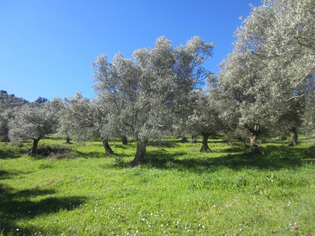 Вилла Cortijo "Era Grande 2" Кордова Экстерьер фото